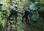 Tingkatkan Kemampuan Tempur Prajurit, Yonif 132/Bima Sakti Laksanakan Latihan Taktis Tingkat Tim Blok Medan Khusus
