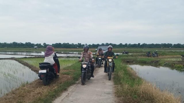 Lewati persawahan Polsek Sabakauh Sambangi Warga Sampaikan Pesan Pemilu Damai