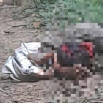 Mayat Di Temukan Di Kebun Karet Nagari Tamparungo