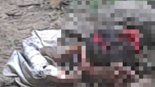 Mayat Di Temukan Di Kebun Karet Nagari Tamparungo