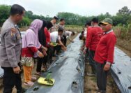 Polres Kuansing Luncurkan Program Ketahanan Pangan di Desa Seberang Taluk Hilir Melalui Zoom Meeting