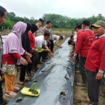 Polres Kuansing Luncurkan Program Ketahanan Pangan di Desa Seberang Taluk Hilir Melalui Zoom Meeting