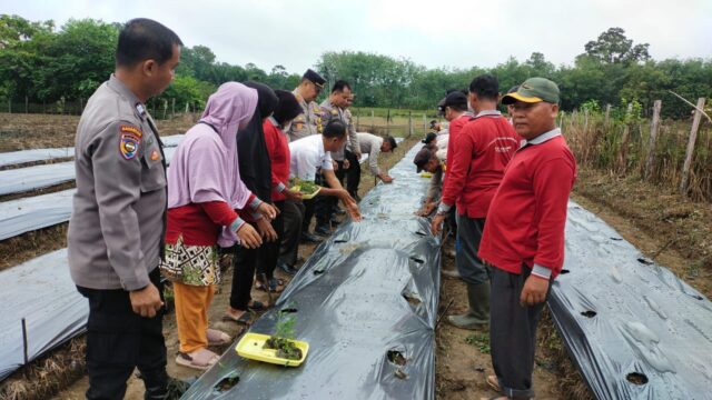 Polres Kuansing Luncurkan Program Ketahanan Pangan di Desa Seberang Taluk Hilir Melalui Zoom Meeting