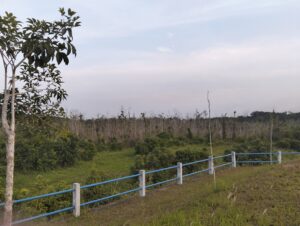 Temu Ramah Dengan Warga Tenayan, Calon Walikota No urut 2 Dr. Hj. Intsiawati Ayus, S.H., M.H, Membaur Dengan Warga