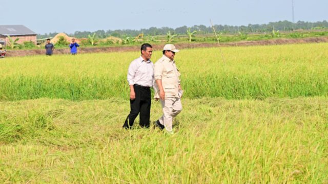 Momen Prabowo Kunker Perdana ke Merauke Ditemani Menhan hingga Kepala BIN