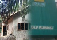 Warga Rumbai Barat Mengeluh, PLN Rumbai Tidak Bisa Memberikan Solusi Bagi Masyarakat Buat Penerangan.”Ada Apa Dengan PLN Rumbai.?”