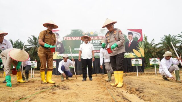 Penanaman jagung 1 juta hektar secara serentak diseluruh Indonesia di areal PT. Tasmapuja di Desa Kampar Kec. Kampa Kab. Kampar.