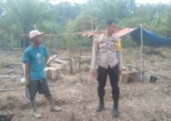 Polsek Kuantan Hilir Cek Lahan Ketahanan Pangan Desa Pulau Baru Dukung Program ASTA CITA Presiden RI