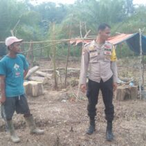 Polsek Kuantan Hilir Cek Lahan Ketahanan Pangan Desa Pulau Baru Dukung Program ASTA CITA Presiden RI Polsek Kuantan Hilir Cek Lahan Ketahanan Pangan Desa Pulau Baru Dukung Program ASTA CITA Presiden RI