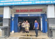 Kebakaran DI RR Design Aquarium Jalan Tuanku Tambusai, 4 Unit Mobil Kebakaran 25 Personil Di kerahkan