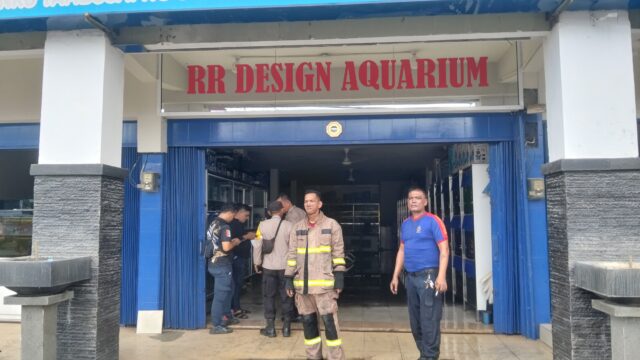 Kebakaran DI RR Design Aquarium Jalan Tuanku Tambusai, 4 Unit Mobil Kebakaran 25 Personil Di kerahkan