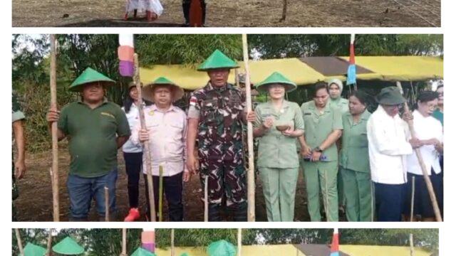 Kodim 1312/Tld Dan Stekholder Terkait Laksanakan Tanam Padi Ladang Serentak Se-Talaud