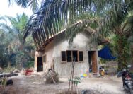 Miris PLN wilayah Riau bungkam atas pengaduan masyarakat perihal pasang baru listrik bagi masyarakat rumbai barat.