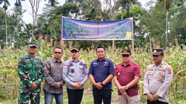 Dukung Program Asta Cita, Kalapas Suliki, Distanhorbun dan Wali Nagari Limbanang Panen Raya Jagung