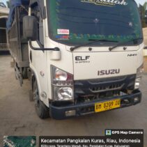 Ditemukan Satu Unit Dump Truk Bermuatan Kayu yang Diduga Hasil Illegal Logging di Kerumutan