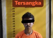 Polsek Singingi Hilir Ungkap Kasus Pencurian Sepeda Motor di Desa Petai