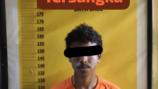 Polsek Singingi Hilir Ungkap Kasus Pencurian Sepeda Motor di Desa Petai