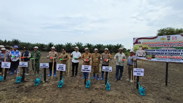 Kolaborasi Bersama PT Ivo Mas Tunggal dan Masyarakat, Polres Siak Tanami Ribuan bibit Jagung Pipil Diatas Lahan Seluas 6,5 Hektar