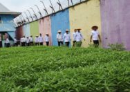 Dukung Program Ketahanan Pangan, KAKANWIL DITJENPAS Riau Tabur Benuh Ikan Patin Di Lapas Kelas  IIA Peksnbaru