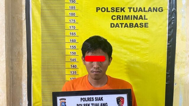 Lakukan Perbuatan Persetubuhan Dengan Anak Dibawah Umur, ADP Als A, Diamankan Unit Reskrim Polsek Tualang.