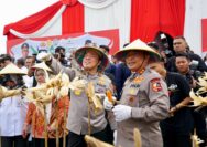 Irwasum Polri Pimpin Panen Jagung Serentak di Madiun,Wujudkan Astacita