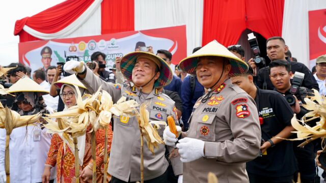 Irwasum Polri Pimpin Panen Jagung Serentak di Madiun,Wujudkan Astacita