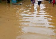 Sungai Batang Sumpur Meluap, Nagari Sisawah Di hantam Banjir, Pulahan Rumah Dan Sawah Terendam