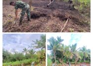 Koramil 1312/07 Miangas Memotivasi Para Petani Persiapkan Lahan Tani Guna Mengsukseskan Swasembada Pangan Di Kepulauan Talaud