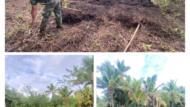 Koramil 1312/07 Miangas Memotivasi Para Petani Persiapkan Lahan Tani Guna Mengsukseskan Swasembada Pangan Di Kepulauan Talaud