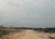 Galian C Ilegal Bebas Dan Merajalela Di Garuda Sakti Km11 APH Setempat Bungkam Dan Tutup Mata