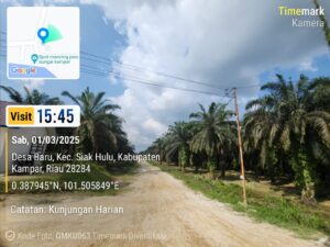 Ikatan Pemuda Kecamatan Siak Hulu Desak Kejati Riau Periksa PT.Peputra Maha Raya Ikatan Pemuda Kecamatan Siak Hulu Desak Kejati Riau Periksa PT.Peputra Maha Raya