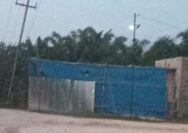 Gudang CPO Ditemukan di Japura Diduga Belum Tersentuh Hukum, Tempat Penampungan CPO Ilegal