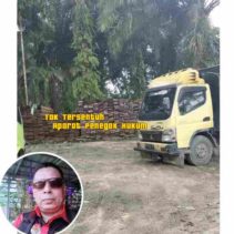 LSM Lingkungan Hidup Desak Aparat Penegak Hukum Tangkap Perambah Hutan Suaka Margasatwa Kerumutan