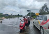 Polres Siak Berjibaku Bantu Masyarakat dan Pemudik Hadapi Banjir di Jalur Lintas Siak - Buton
