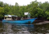 Desa Teluk Pambang, Sukses Turunkan Laju Kerusakan Hutan Mangrove 96 Persen