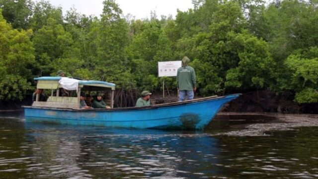 Desa Teluk Pambang, Sukses Turunkan Laju Kerusakan Hutan Mangrove 96 Persen