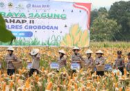 Polres Grobogan Sukses Gelar Panen Raya Jagung di Lahan 274 Hektare
