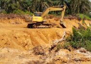 Galian C Ilegal Bebas Dan Merajalela Di Garuda Sakti Km11 APH Setempat Bungkam Dan Tutup Mata