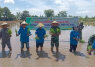 Dandim 0322/Siak Pimpin Gerakan Penanaman Padi di Sungai Tengah, Dukung Swasembada Pangan Riau