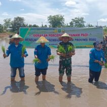 Dandim 0322/Siak Pimpin Gerakan Penanaman Padi di Sungai Tengah, Dukung Swasembada Pangan Riau