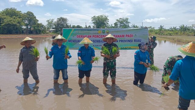 Dandim 0322/Siak Pimpin Gerakan Penanaman Padi di Sungai Tengah, Dukung Swasembada Pangan Riau