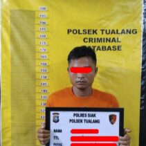 Pelaku Pencurian Berondolan Buah Kelapa Sawit di Amankan.