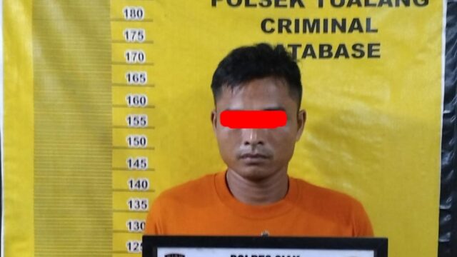 Pelaku Pencurian Berondolan Buah Kelapa Sawit di Amankan.