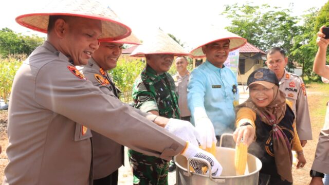 Kapolres Siak Hadiri Panen Raya Jagung di Polsek Bungaraya, Wujud Nyata Program Ketahanan Pangan Polri