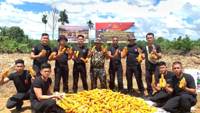 Brimob Sumbar Dukung Swasembada Pangan Lewat Penanaman Jagung Berkelanjutan