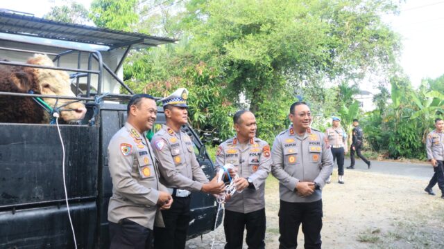 Kapolda Sumbar Serahkan Hewan Qurban untuk Polres Kepulauan Mentawai