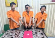 Polsek Tambang Tangkap Tiga Pelaku Narkoba di Desa Rimbo Panjang 