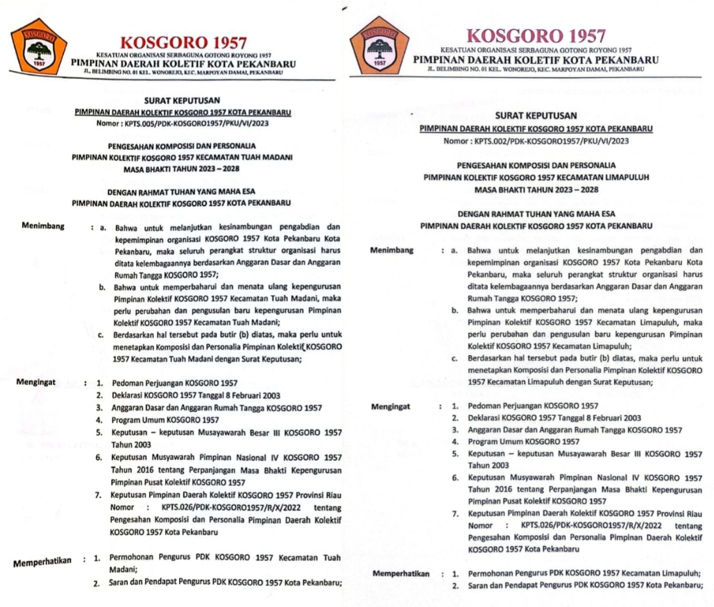PK Kecamatan Kosgoro 1957 Menolak Tegas Plt Safitri Sebagai Ketua Kota Pekanbaru