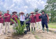 MANFAATKAN LAHAN KOSONG : LAPAS BANGKINANG LATIH WARGA BINAAN BUDIDAYA KELAPA SAWIT