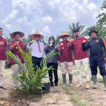 MANFAATKAN LAHAN KOSONG : LAPAS BANGKINANG LATIH WARGA BINAAN BUDIDAYA KELAPA SAWIT
